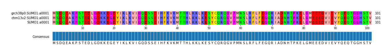 Multiple Alignments (by translate haplotype similarity)