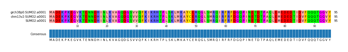 Multiple Alignments (by translate haplotype frequency)