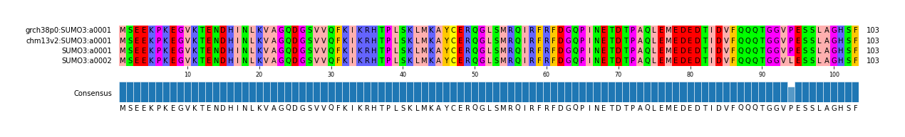 Multiple Alignments (by translate haplotype similarity)