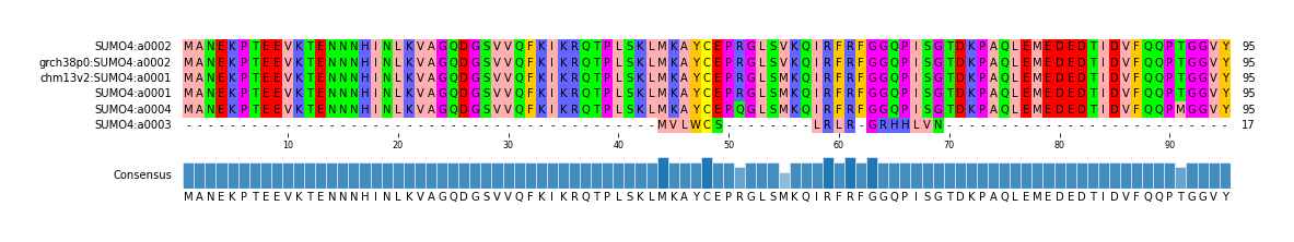 Multiple Alignments (by translate haplotype similarity)