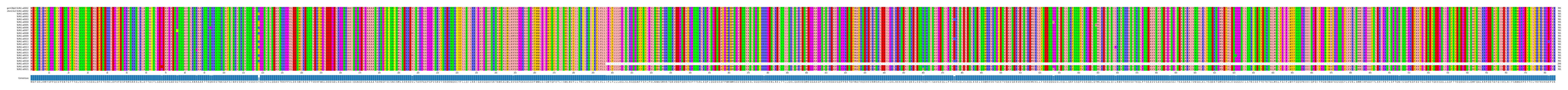 Multiple Alignments (by translate haplotype frequency)
