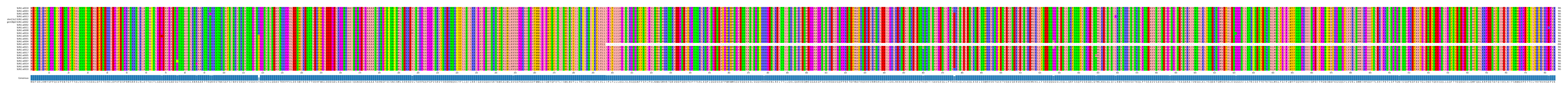 Multiple Alignments (by translate haplotype similarity)