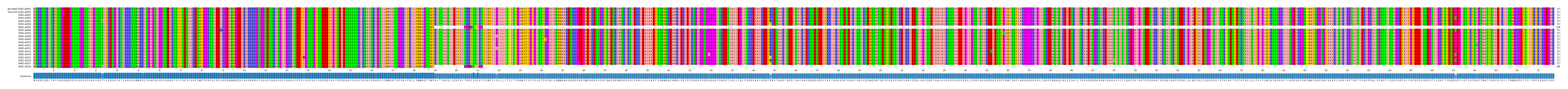 Multiple Alignments (by translate haplotype frequency)