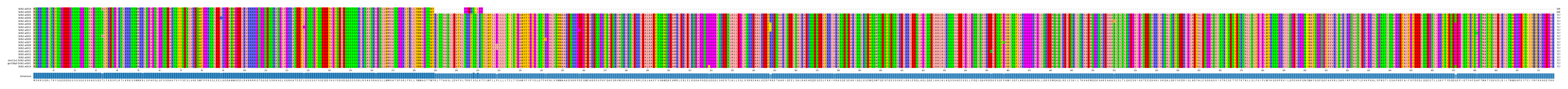 Multiple Alignments (by translate haplotype similarity)