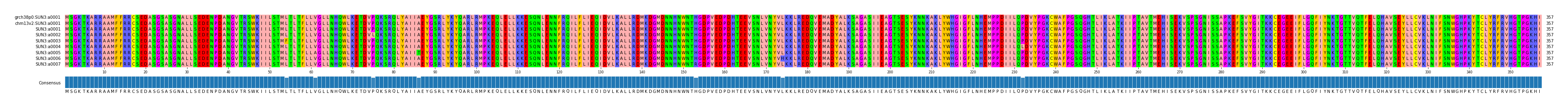 Multiple Alignments (by translate haplotype frequency)