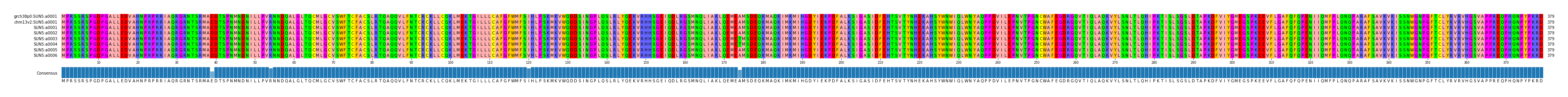 Multiple Alignments (by translate haplotype frequency)