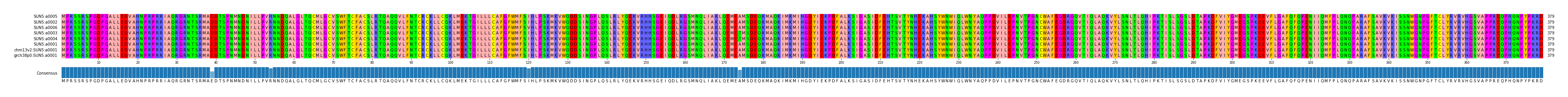 Multiple Alignments (by translate haplotype similarity)