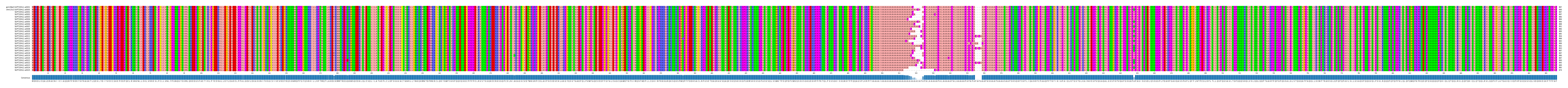 Multiple Alignments (by translate haplotype frequency)