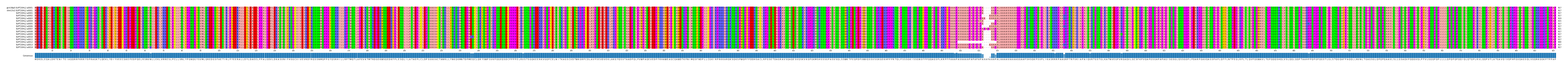 Multiple Alignments (by translate haplotype frequency)