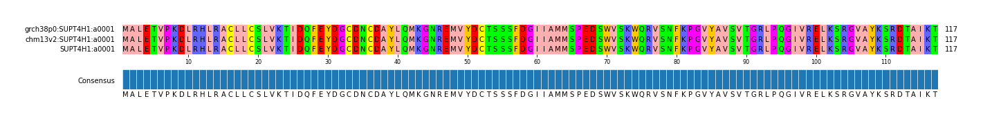 Multiple Alignments (by translate haplotype similarity)