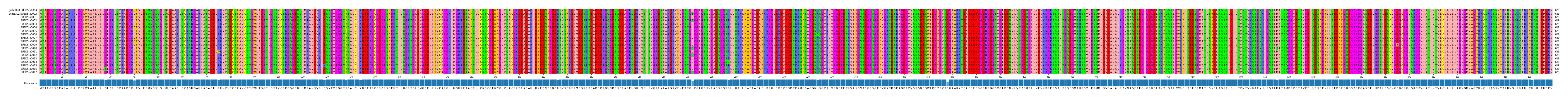 Multiple Alignments (by translate haplotype frequency)