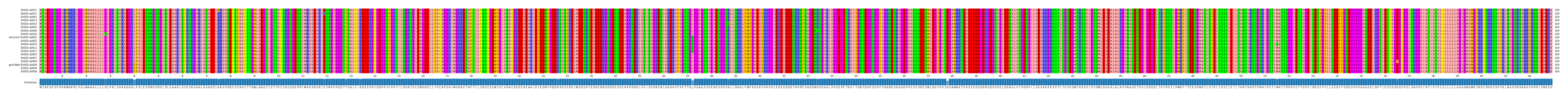 Multiple Alignments (by translate haplotype similarity)