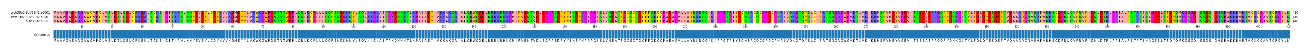 Multiple Alignments (by translate haplotype similarity)