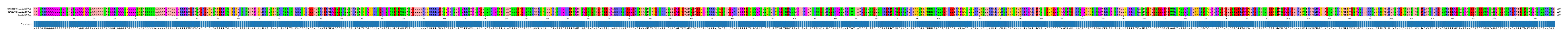 Multiple Alignments (by translate haplotype similarity)