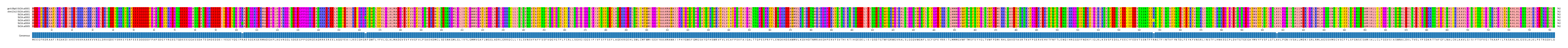Multiple Alignments (by translate haplotype frequency)