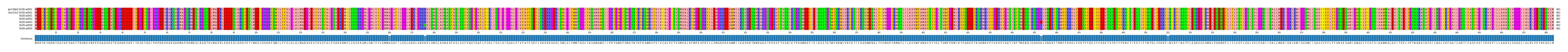 Multiple Alignments (by translate haplotype frequency)