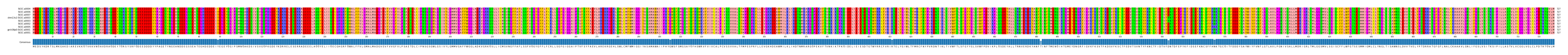 Multiple Alignments (by translate haplotype similarity)