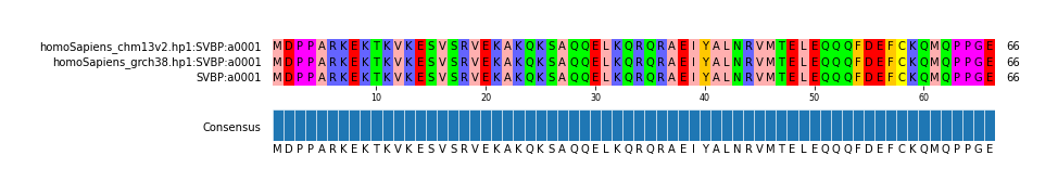 Multiple Alignments (by translate haplotype frequency)