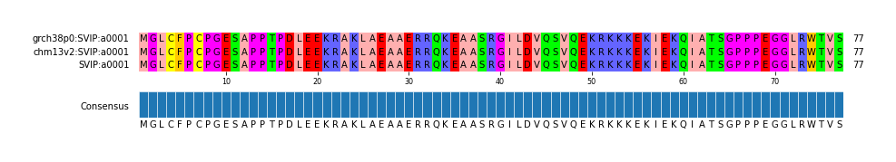 Multiple Alignments (by translate haplotype frequency)