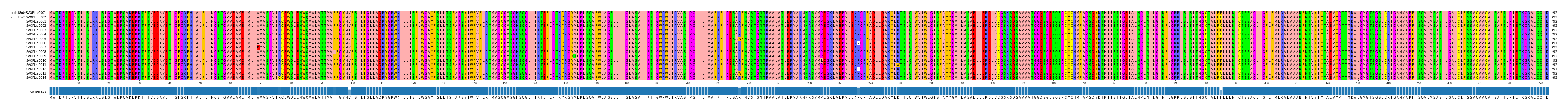 Multiple Alignments (by translate haplotype frequency)