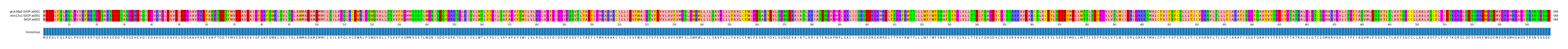 Multiple Alignments (by translate haplotype similarity)