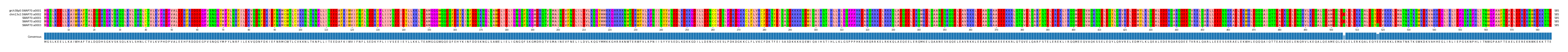 Multiple Alignments (by translate haplotype frequency)