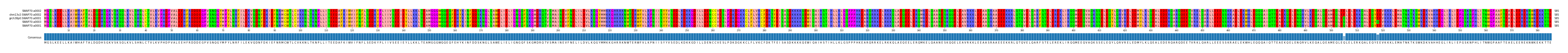 Multiple Alignments (by translate haplotype similarity)