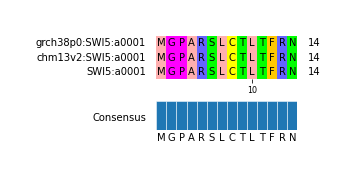 Multiple Alignments (by translate haplotype similarity)