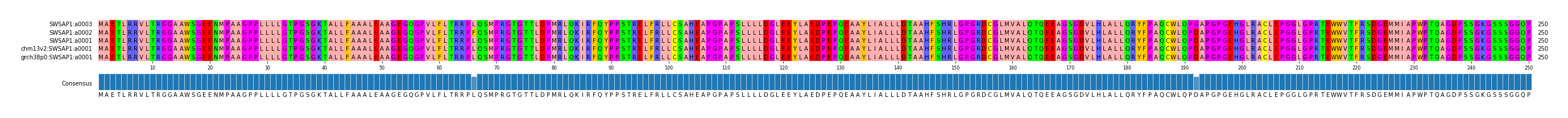 Multiple Alignments (by translate haplotype similarity)