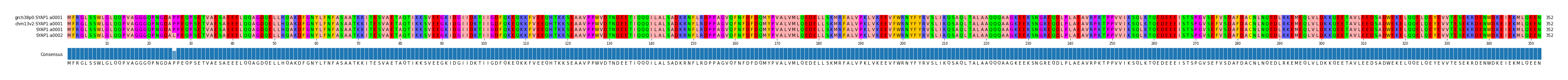 Multiple Alignments (by translate haplotype similarity)