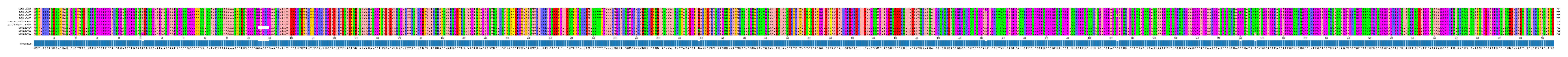 Multiple Alignments (by translate haplotype similarity)