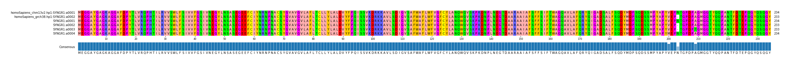 Multiple Alignments (by translate haplotype frequency)