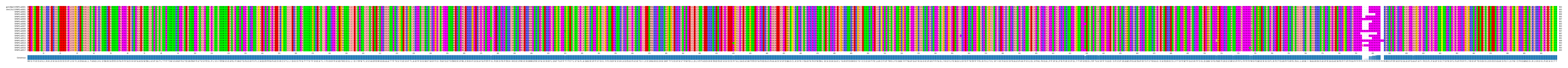 Multiple Alignments (by translate haplotype frequency)