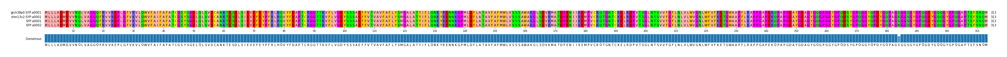 Multiple Alignments (by translate haplotype similarity)