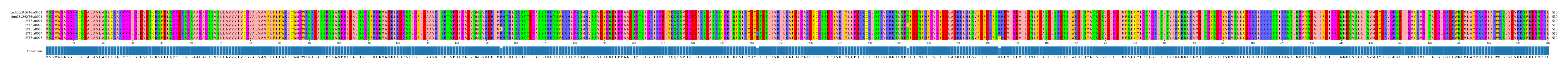 Multiple Alignments (by translate haplotype frequency)