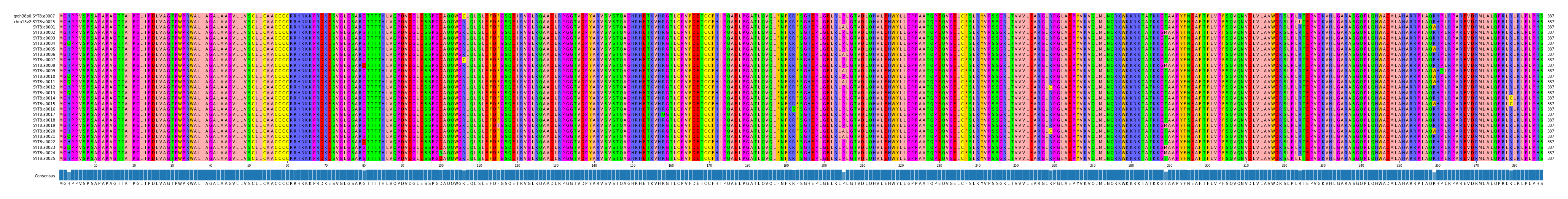 Multiple Alignments (by translate haplotype frequency)