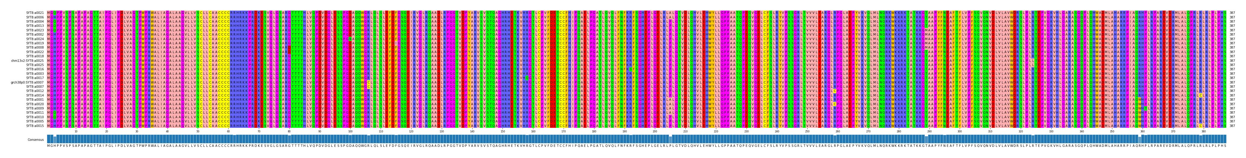 Multiple Alignments (by translate haplotype similarity)
