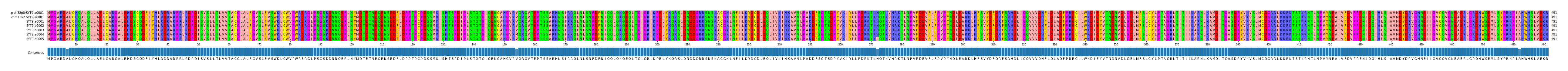 Multiple Alignments (by translate haplotype frequency)