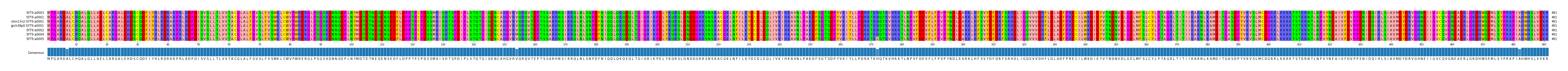 Multiple Alignments (by translate haplotype similarity)