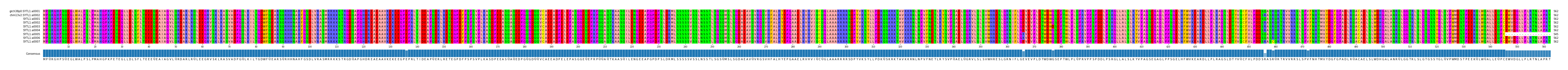 Multiple Alignments (by translate haplotype frequency)