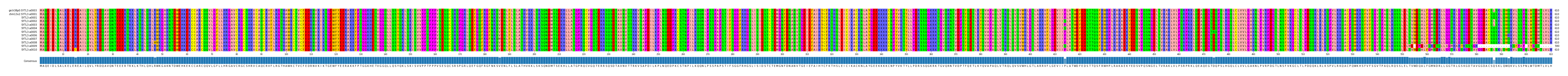 Multiple Alignments (by translate haplotype frequency)