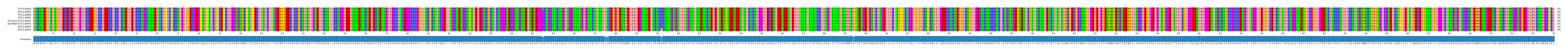 Multiple Alignments (by translate haplotype similarity)