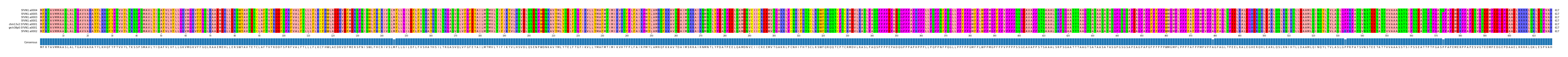 Multiple Alignments (by translate haplotype similarity)