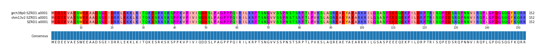 Multiple Alignments (by translate haplotype similarity)