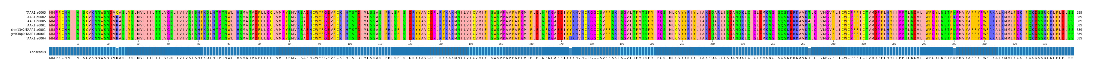 Multiple Alignments (by translate haplotype similarity)