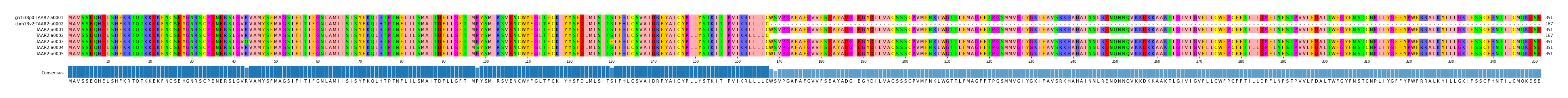 Multiple Alignments (by translate haplotype frequency)