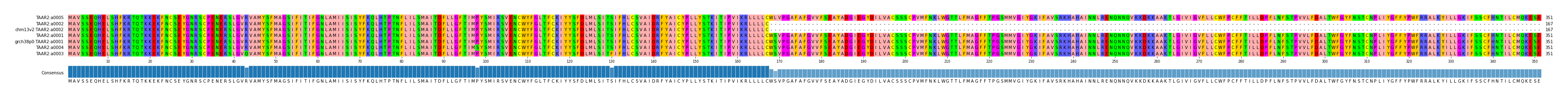Multiple Alignments (by translate haplotype similarity)