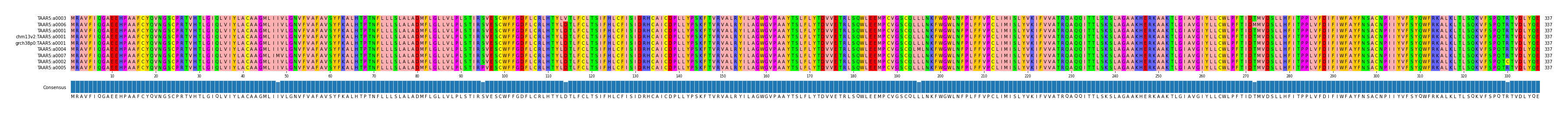Multiple Alignments (by translate haplotype similarity)