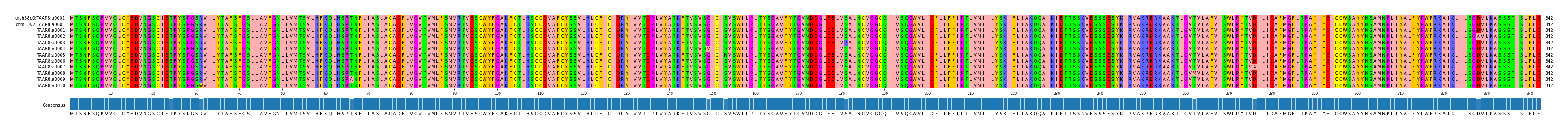 Multiple Alignments (by translate haplotype frequency)