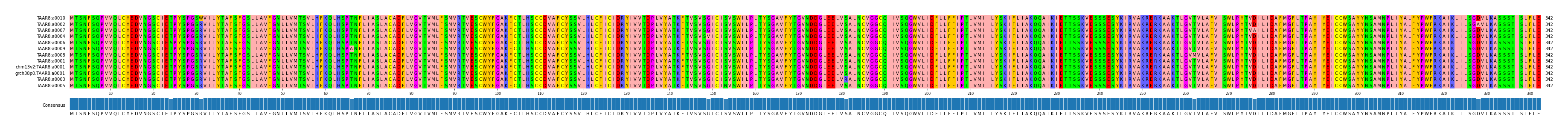 Multiple Alignments (by translate haplotype similarity)